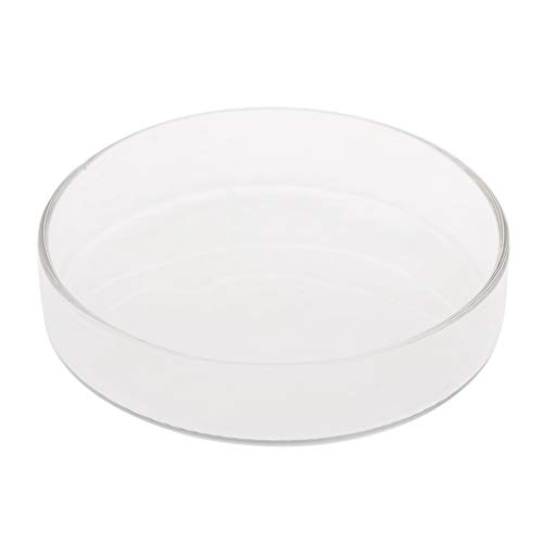 JSGHGDF Garnelen Feeder Futternapf Aquarium Fische Reptilien Futternapf 3 9" 3 5" 3 2" 2 6" 2 4" JSGHGDF Garnelen Feeder Futternapf Aquarium Fische Reptilien Futternapf 3 9" 3 5" 3 2" 2 6" 2 4" von JSGHGDF