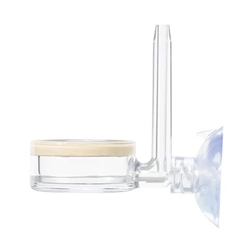 JSGHGDF Aquarium CO2-Diffusor Blasenschalter Für Pflanzen Tanks CO2-Sprühwerkpflanze Die Kleine Größe Ruhig Sprudeln JSGHGDF Aquarium CO2-Diffusor Blasenschalter Für Pflanzen Tanks CO2-Sprühwerkpflanze Die Kleine Größe Ruhig Sprudeln von JSGHGDF