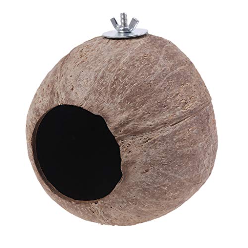 JSGHGDF Hängendes Kokosnuss Vogelhaus Natürliche Kokosnussfaser Für Shell Vogelnest Kokosnuss Versteckspielzeug Für Hamster Vogelkäfig Zubehör JSGHGDF Hängendes Kokosnuss Vogelhaus Natürliche Kokosnussfaser Für Shell Vogelnest Kokosnuss Versteckspielzeug Für Hamster Vogelkäfig Zubehör von JSGHGDF