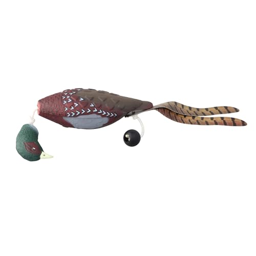 JSGHGDF Hunde Spielzeug Outdoor Training Spielzeug Jump Jagd Training Apportieren Spielzeug Interaktive Training Spielzeug Welpen Liefert JSGHGDF Hunde Spielzeug Outdoor Training Spielzeug Jump Jagd Training Apportieren Spielzeug Interaktive Training Spielzeug Welpen Liefert von JSGHGDF