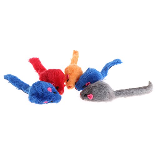 JSGHGDF Interaktives Mäusespielzeug Für Katzen Leuchtende Farben Plüschmaus Spiel Und Fangtrainingsspielzeug Für Indoor Kätzchen Heimtierbedarf JSGHGDF Interaktives Mäusespielzeug Für Katzen Leuchtende Farben Plüschmaus Spiel Und Fangtrainingsspielzeug Für Indoor Kätzchen Heimtierbedarf von JSGHGDF