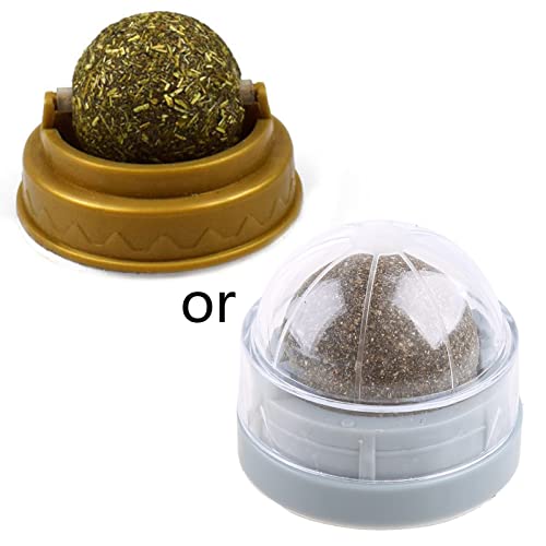 JSGHGDF Katzen Katzenminze Katzen Minz Leckereien Kleines Kätzchen Kauspielzeug Katzen Minz Leckereien Katzen Leckerli Katzenminze Für Die Zahnpflege Von Katzen JSGHGDF Katzen Katzenminze Katzen Minz Leckereien Kleines Kätzchen Kauspielzeug Katzen Minz Leckereien Katzen Leckerli Katzenminze Für Die Zahnpflege Von Katzen von JSGHGDF