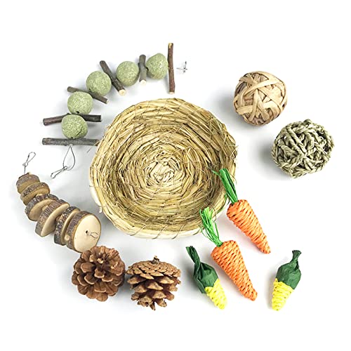 JSGHGDF Set 11 Kleintier Aktivitätszubehör Molaren Zahnpflege Hamster Molaren Schweine JSGHGDF Set 11 Kleintier Aktivitätszubehör Molaren Zahnpflege Hamster Molaren Schweine von JSGHGDF