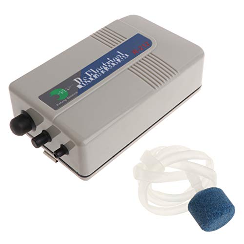 JSGHGDF Tragbarer Belüfter Aquarienfische Batterie Einzelauslassluft RS-212 JSGHGDF Tragbarer Belüfter Aquarienfische Batterie Einzelauslassluft RS-212 von JSGHGDF