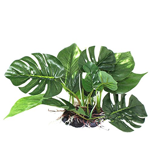 JSGHGDF Unterwassergrün Aquarienfische Ornamentdekorationen 7" JSGHGDF Unterwassergrün Aquarienfische Ornamentdekorationen 7" von JSGHGDF