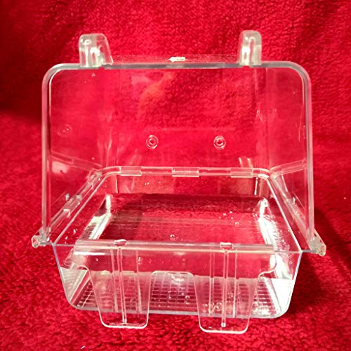 JSGHGDF Verbessertes Hängendes Vogelbad Vogelbadewanne Würfelbad Duschbox Schüssel 12 7 cm Hängendes Käfig Reinigungswerkzeug Für Kleine Vögel JSGHGDF Verbessertes Hängendes Vogelbad Vogelbadewanne Würfelbad Duschbox Schüssel 12 7 cm Hängendes Käfig Reinigungswerkzeug Für Kleine Vögel von JSGHGDF