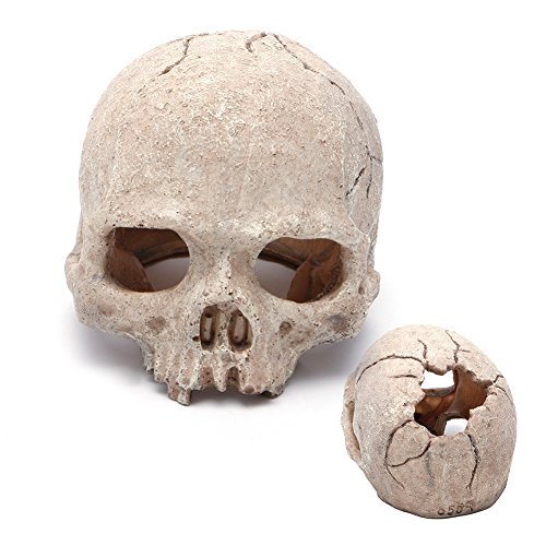 JSGHGDF Verstecken Aquarium Dekoration Kunstharz Aquarium Ornament Haustiere Unterschlupf Totenkopf Gruseliges Fischversteck JSGHGDF Verstecken Aquarium Dekoration Kunstharz Aquarium Ornament Haustiere Unterschlupf Totenkopf Gruseliges Fischversteck von JSGHGDF