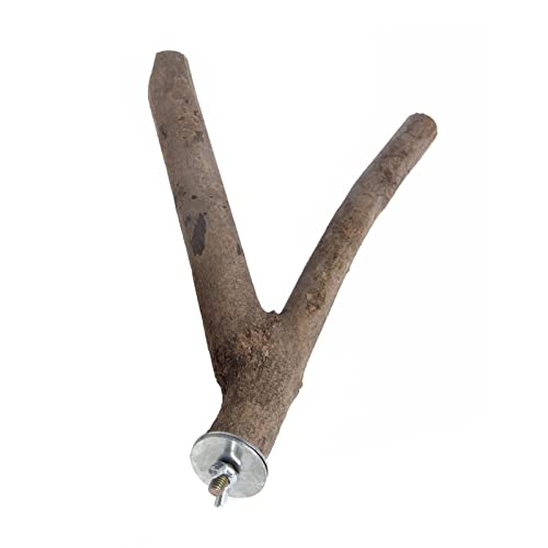 JSGHGDF Vogel Barsch Naturholz Ständer Holz Stehen Klettern Pfote Schleifen Spielzeug Für Vögel Käfig Zubehör JSGHGDF Vogel Barsch Naturholz Ständer Holz Stehen Klettern Pfote Schleifen Spielzeug Für Vögel Käfig Zubehör von JSGHGDF