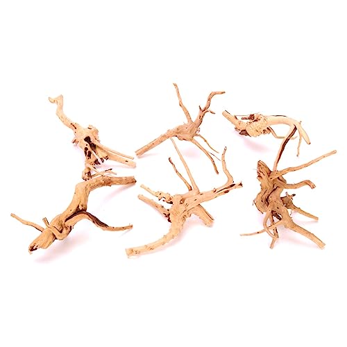 JSGHGDF Zarte Natürliche Terrarium Verstecke Garnelen Verstecke Statuen Aquarium Lebensraum Dekorationen JSGHGDF Zarte Natürliche Terrarium Verstecke Garnelen Verstecke Statuen Aquarium Lebensraum Dekorationen von JSGHGDF