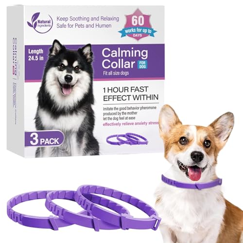 JSHDUSA Pheromon-Halsbänder für Hunde, Pheromon-Halsbänder, 62,5 cm Länge, verstellbar, beruhigendes Hundehalsband, hält 60 Tage, lindert schlechtes Verhalten JSHDUSA Pheromon-Halsbänder für Hunde, Pheromon-Halsbänder, 62,5 cm Länge, verstellbar, beruhigendes Hundehalsband, hält 60 Tage, lindert schlechtes Verhalten von JSHDUSA