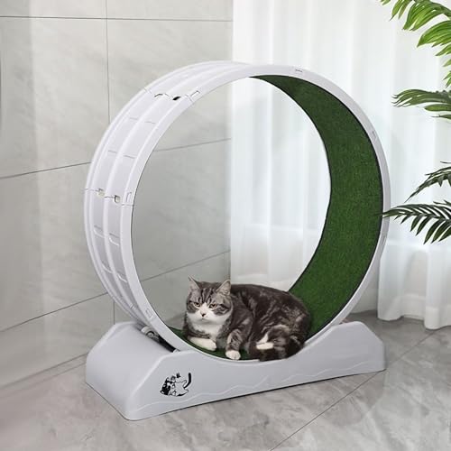 Katzenlaufrad Großes Laufrad,katzenlaufrad,laufrad Katze Katzen,laufband Für Katzen, Große Rollenverriegelung, Geeignet Für Indoor-Katzen-Fitness-räder 79×33×85cm Grey von JSLJJBD