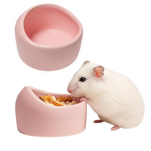 JSLZF Futternapf aus Keramik, für Hamster, verhindert Umklopfen, Spritzen und Kauen für Rennmäuse, Chinchilla, Ratten, 2 Stück JSLZF Futternapf aus Keramik, für Hamster, verhindert Umklopfen, Spritzen und Kauen für Rennmäuse, Chinchilla, Ratten, 2 Stück von JSLZF