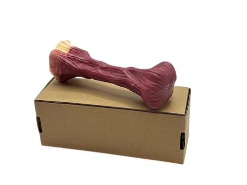 JSMPETREK Superstarkes Kauspielzeug XL 17 cm - Interaktiver Hunde-Knochen mit Zahnreinigungseffekt, waschbar (für mittelgroße & große Hunde) - Kaufen 2 Erhalten 1 Gratis JSMPETREK Superstarkes Kauspielzeug XL 17 cm - Interaktiver Hunde-Knochen mit Zahnreinigungseffekt, waschbar (für mittelgroße & große Hunde) - Kaufen 2 Erhalten 1 Gratis von JSMPETREK