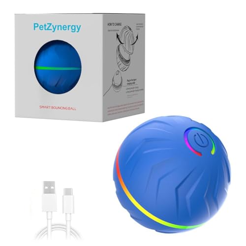 JSNKJLMN Smart Bounce Ball Hund mit Spielzeug Ball Haustier Relief Spielzeug Ball Roll Zufälliges Springen von JSNKJLMN