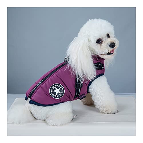 JSSEVN Hundekleidung für kleine Hunde Mantel wasserdichte Winterjacke warme Weste mit Hundegeschirr für kleine, mittelgroße und große Hunde, Violett M von ＪＳＳＥＶＮ