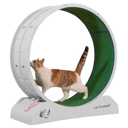 Katzenlaufrad Katzenspielzeug Katzenlaufband Stummgeschaltetes Katzenübungsrad Pp-kunststoffmaterial Mit Einklemmschutz-verriegelung 86 X 80 X 33 cm A-86 * 80 * 33cm Grey von JSWHYBD