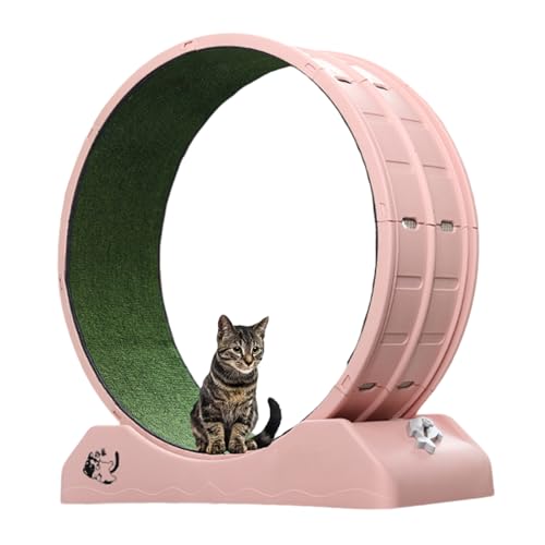 Katzenlaufrad Katzenspielzeug Katzenlaufband Stummgeschaltetes Katzenübungsrad Pp-kunststoffmaterial Mit Einklemmschutz-verriegelung 86 X 80 X 33 cm A-86 * 80 * 33cm pink von JSWHYBD