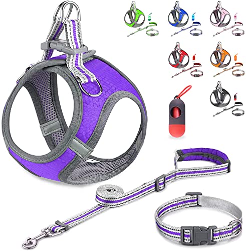 JSXD Kleines Hundegeschirr, Welpengeschirr, verstellbare Leine und Halsband-Set für kleine Hunde, Step-in-Hundegeschirr, Brustumfang 43.9-48 cm, Violett von JSXD