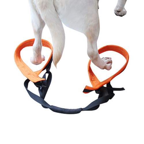 Hunde-Hilfs-Hebegürtel, für Behinderte, für Hunde mit Behinderung, Hilfsgurt, Haustierbeine, Hüftstützgeschirr, für schwache Hinterbeine Hunde-Hilfs-Hebegürtel, für Behinderte, für Hunde mit Behinderung, Hilfsgurt, Haustierbeine, Hüftstützgeschirr, für schwache Hinterbeine von JSZDFSV
