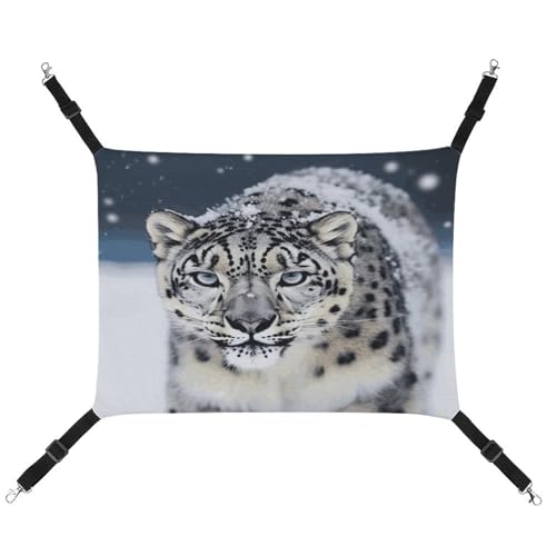 JTKBNVM Blue Eyed Snow Leopard Katzenhängematte Haustierhängematte Frettchen Hängematte Katzenhängematte für große Katzen Hamster Hängematte Weiches Hängebett Katzenhängematte Hängematte Bett JTKBNVM Blue Eyed Snow Leopard Katzenhängematte Haustierhängematte Frettchen Hängematte Katzenhängematte für große Katzen Hamster Hängematte Weiches Hängebett Katzenhängematte Hängematte Bett von JTKBNVM