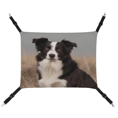 JTKBNVM Border Collie Katzenhängematte Haustierhängematte Frettchen Hängematte Katzenhängematte für große Katzen Hamster Hängematte Weiches Hängebett Katzenhängematte Hängende Katzenhängematte Bett JTKBNVM Border Collie Katzenhängematte Haustierhängematte Frettchen Hängematte Katzenhängematte für große Katzen Hamster Hängematte Weiches Hängebett Katzenhängematte Hängende Katzenhängematte Bett von JTKBNVM