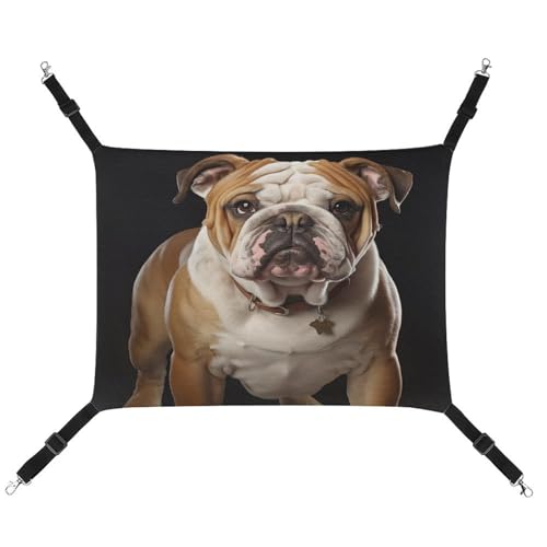 JTKBNVM Englische Bulldogge Katzenhängematte Haustierhängematte Frettchen Hängematte Katzenhängematte für große Katzen Hamster Hängematte Weiches Hängebett Katzenhängematte Hängematte Bett JTKBNVM Englische Bulldogge Katzenhängematte Haustierhängematte Frettchen Hängematte Katzenhängematte für große Katzen Hamster Hängematte Weiches Hängebett Katzenhängematte Hängematte Bett von JTKBNVM