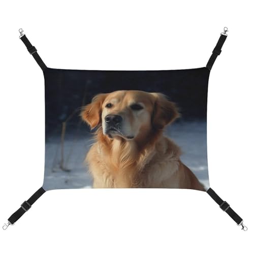 JTKBNVM Golden Retriever Katzenhängematte Haustierhängematte Frettchen Hängematte Katzenhängematte für große Katzen Hamster Hängematte Weiches Hängebett Katzenhängematte Hängende Katzenhängematte Bett JTKBNVM Golden Retriever Katzenhängematte Haustierhängematte Frettchen Hängematte Katzenhängematte für große Katzen Hamster Hängematte Weiches Hängebett Katzenhängematte Hängende Katzenhängematte Bett von JTKBNVM