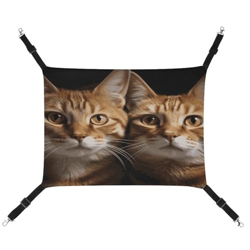 JTKBNVM Katzen Katze Hängematte Haustier Hängematte Frettchen Hängematte Katze Hängematte für große Katzen Hamster Hängematte Weiches Hängebett Katzenhängematte Hängende Katzenhängematte Bett JTKBNVM Katzen Katze Hängematte Haustier Hängematte Frettchen Hängematte Katze Hängematte für große Katzen Hamster Hängematte Weiches Hängebett Katzenhängematte Hängende Katzenhängematte Bett von JTKBNVM