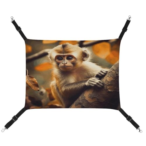 JTKBNVM Monkey on Tree Katzenhängematte Haustierhängematte Frettchen Hängematte Katzenhängematte für große Katzen Hamster Hängematte Weiches Hängebett Katzenhängematte Hängende Katzenhängematte Bett JTKBNVM Monkey on Tree Katzenhängematte Haustierhängematte Frettchen Hängematte Katzenhängematte für große Katzen Hamster Hängematte Weiches Hängebett Katzenhängematte Hängende Katzenhängematte Bett von JTKBNVM