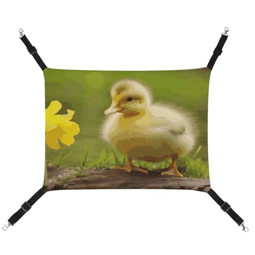 JTKBNVM Niedliche Enten Katzenhängematte Haustier Hängematte Frettchen Hängematte Katze Hängematte für große Katzen Hamster Hängematte Weiches Hängebett Katzenhängematte Hängende Katzenhängematte Bett JTKBNVM Niedliche Enten Katzenhängematte Haustier Hängematte Frettchen Hängematte Katze Hängematte für große Katzen Hamster Hängematte Weiches Hängebett Katzenhängematte Hängende Katzenhängematte Bett von JTKBNVM