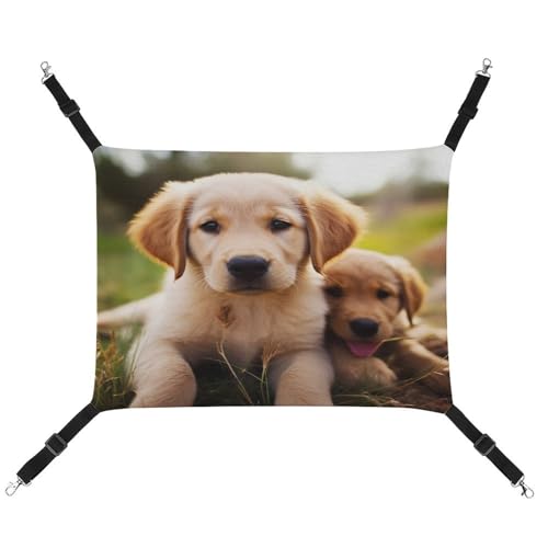 JTKBNVM Süße Golden Retriever Welpe Katze Hängematte Haustier Hängematte Frettchen Hängematte Katze Hängematte für große Katzen Hamster Hängematte Weiches Hängebett Katze Hängematte Hängende Katze JTKBNVM Süße Golden Retriever Welpe Katze Hängematte Haustier Hängematte Frettchen Hängematte Katze Hängematte für große Katzen Hamster Hängematte Weiches Hängebett Katze Hängematte Hängende Katze von JTKBNVM