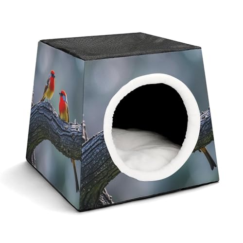 Capsule Pet Waterloo Blackwood Cardinal Bird Printed Foldable Dog House Cat Cave Soft Kitten Bed Warm Rabbit Nest Chinchillas Hideout for Indoor Small and Medium Animal Capsule Pet Waterloo Blackwood Cardinal Bird Printed Foldable Dog House Cat Cave Soft Kitten Bed Warm Rabbit Nest Chinchillas Hideout for Indoor Small and Medium Animal von JTKLQBN