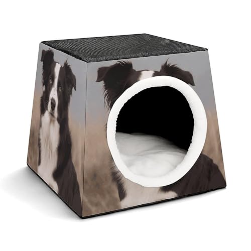 Capsule Pet Waterloo Border Collie Printed Foldable Dog House Cat Cave Soft Kitten Bed Warm Rabbit Nest Chinchillas Hideout for Indoor Small and Medium Animal Capsule Pet Waterloo Border Collie Printed Foldable Dog House Cat Cave Soft Kitten Bed Warm Rabbit Nest Chinchillas Hideout for Indoor Small and Medium Animal von JTKLQBN