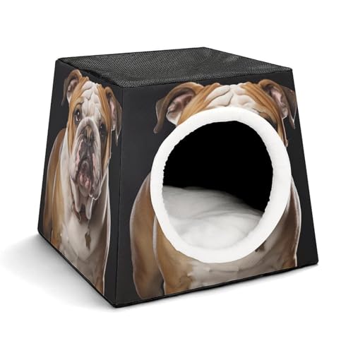 Capsule Pet Waterloo Englische Bulldogge Bedruckte Faltbare Hundehütte Katzenhöhle Weiches Kätzchenbett Warmes Kaninchennest Chinchillas Versteck für kleine und mittelgroße Tiere im Innenbereich Capsule Pet Waterloo Englische Bulldogge Bedruckte Faltbare Hundehütte Katzenhöhle Weiches Kätzchenbett Warmes Kaninchennest Chinchillas Versteck für kleine und mittelgroße Tiere im Innenbereich von JTKLQBN
