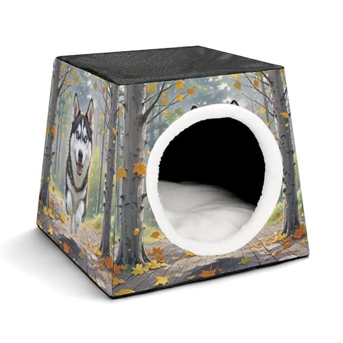 Capsule Pet Waterloo Fallen Leaves in Autumn Printed Foldable Dog House Cat Cave Soft Kitten Bed Warm Rabbit Nest Chinchillas Hideout for Indoor Small and Medium Animal Capsule Pet Waterloo Fallen Leaves in Autumn Printed Foldable Dog House Cat Cave Soft Kitten Bed Warm Rabbit Nest Chinchillas Hideout for Indoor Small and Medium Animal von JTKLQBN