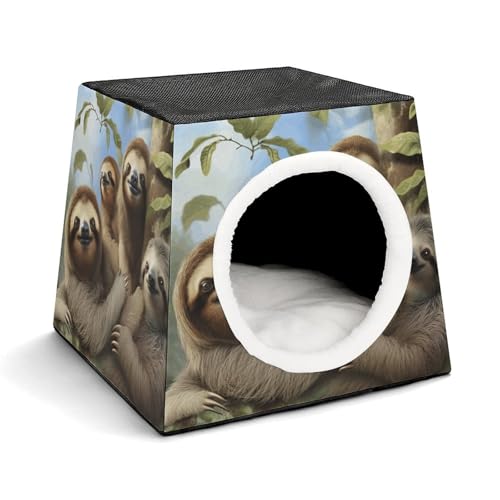 Capsule Pet Waterloo Faultier-Familie, bedruckt, faltbar, Hundehaus, Katzenhöhle, weiches Kätzchenbett, warmes Kaninchennest, Chinchillas, Versteck für kleine und mittelgroße Tiere Capsule Pet Waterloo Faultier-Familie, bedruckt, faltbar, Hundehaus, Katzenhöhle, weiches Kätzchenbett, warmes Kaninchennest, Chinchillas, Versteck für kleine und mittelgroße Tiere von JTKLQBN