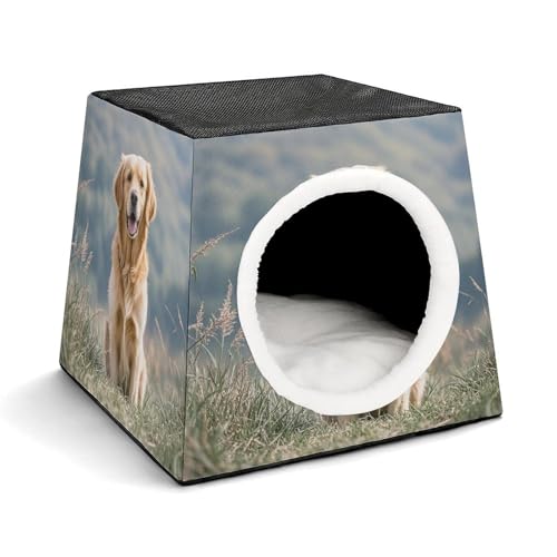 Capsule Pet Waterloo Golden Retriever Hund Bedruckt Faltbares Hundehaus Katzenhöhle Weiches Kätzchenbett Warmes Kaninchennest Chinchillas Versteck für kleine und mittelgroße Tiere im Innenbereich Capsule Pet Waterloo Golden Retriever Hund Bedruckt Faltbares Hundehaus Katzenhöhle Weiches Kätzchenbett Warmes Kaninchennest Chinchillas Versteck für kleine und mittelgroße Tiere im Innenbereich von JTKLQBN
