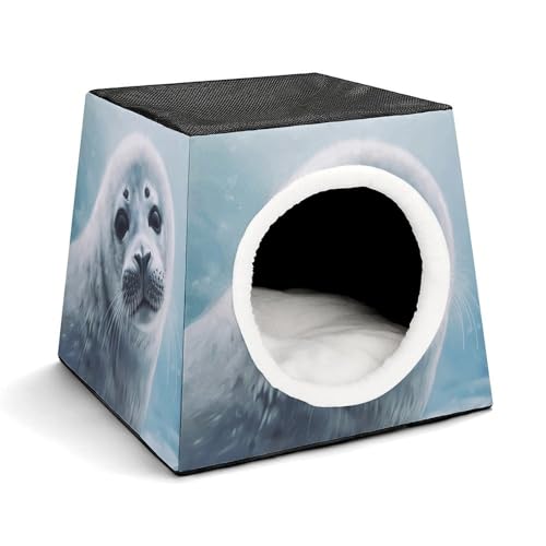 Capsule Pet Waterloo Harfe Robbe Malerei Tapete gedruckt faltbar Hundehaus Katzenhöhle weiches Kätzchenbett warmes Kaninchennest Chinchillas Versteck für kleine und mittelgroße Tiere im Innenbereich Capsule Pet Waterloo Harfe Robbe Malerei Tapete gedruckt faltbar Hundehaus Katzenhöhle weiches Kätzchenbett warmes Kaninchennest Chinchillas Versteck für kleine und mittelgroße Tiere im Innenbereich von JTKLQBN
