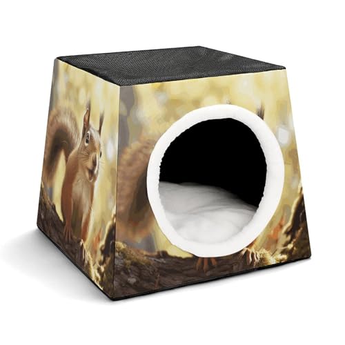 Capsule Pet Waterloo Lustiges Eichhörnchen bedrucktes faltbares Hundehaus Katzenhöhle weiches Kätzchenbett warmes Kaninchennest Chinchillas Versteck für kleine und mittelgroße Tiere im Innenbereich Capsule Pet Waterloo Lustiges Eichhörnchen bedrucktes faltbares Hundehaus Katzenhöhle weiches Kätzchenbett warmes Kaninchennest Chinchillas Versteck für kleine und mittelgroße Tiere im Innenbereich von JTKLQBN