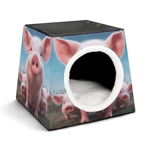 Capsule Pet Waterloo Lustiges süßes Schweinchen bedruckt faltbar Hundehaus Katzenhöhle weiches Kätzchenbett warmes Kaninchennest Chinchillas Versteck für kleine und mittelgroße Tiere im Innenbereich Capsule Pet Waterloo Lustiges süßes Schweinchen bedruckt faltbar Hundehaus Katzenhöhle weiches Kätzchenbett warmes Kaninchennest Chinchillas Versteck für kleine und mittelgroße Tiere im Innenbereich von JTKLQBN
