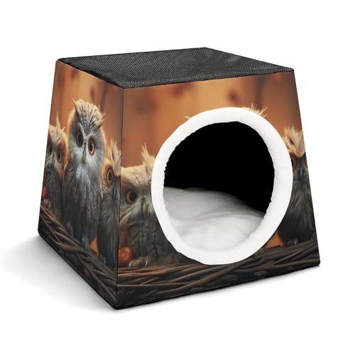 Capsule Pet Waterloo Niedliche Eule, bedruckt, faltbar, Hundehaus, Katzenhöhle, weiches Kätzchenbett, warmes Kaninchennest, Chinchillas, Versteck für kleine und mittelgroße Tiere Capsule Pet Waterloo Niedliche Eule, bedruckt, faltbar, Hundehaus, Katzenhöhle, weiches Kätzchenbett, warmes Kaninchennest, Chinchillas, Versteck für kleine und mittelgroße Tiere von JTKLQBN