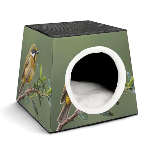 Capsule Pet Waterloo Outdoor Olivgrün Blühende Vögel Bedruckt Faltbares Hundehaus Katzenhöhle Weiches Kätzchenbett Warmes Kaninchennest Chinchillas Versteck für drinnen kleine und mittelgroße Tiere Capsule Pet Waterloo Outdoor Olivgrün Blühende Vögel Bedruckt Faltbares Hundehaus Katzenhöhle Weiches Kätzchenbett Warmes Kaninchennest Chinchillas Versteck für drinnen kleine und mittelgroße Tiere von JTKLQBN