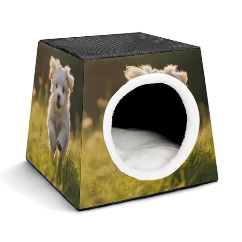 Capsule Pet Waterloo Puppy Crossing The Grass Printed Foldable Dog House Cat Cave Soft Kitten Bed Warm Rabbit Nest Chinchillas Hideout for Indoor Small and Medium Animal Capsule Pet Waterloo Puppy Crossing The Grass Printed Foldable Dog House Cat Cave Soft Kitten Bed Warm Rabbit Nest Chinchillas Hideout for Indoor Small and Medium Animal von JTKLQBN
