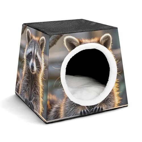 Capsule Pet Waterloo Süßer Waschbär bedrucktes faltbares Hundehaus Katzenhöhle weiches Kätzchenbett warmes Kaninchennest Chinchillas Versteck für kleine und mittelgroße Tiere im Innenbereich Capsule Pet Waterloo Süßer Waschbär bedrucktes faltbares Hundehaus Katzenhöhle weiches Kätzchenbett warmes Kaninchennest Chinchillas Versteck für kleine und mittelgroße Tiere im Innenbereich von JTKLQBN