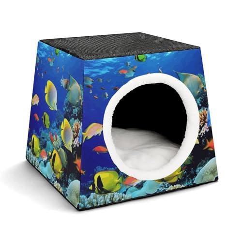 Capsule Pet Waterloo Tropischer Seefisch Bedruckt Faltbares Hundehaus Katzenhöhle Weiches Kätzchenbett Warmes Kaninchennest Chinchillas Versteck für kleine und mittelgroße Tiere im Innenbereich Capsule Pet Waterloo Tropischer Seefisch Bedruckt Faltbares Hundehaus Katzenhöhle Weiches Kätzchenbett Warmes Kaninchennest Chinchillas Versteck für kleine und mittelgroße Tiere im Innenbereich von JTKLQBN