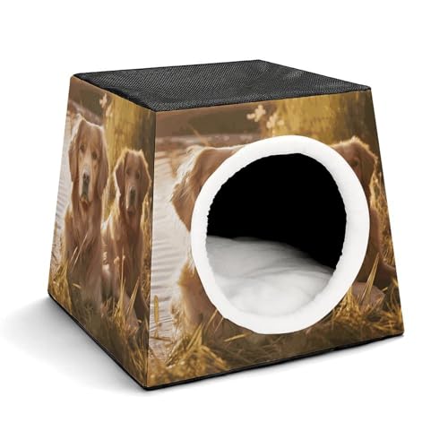 Capsule Pet Waterloo Zwei Golden Retriever Bedruckte Faltbare Hundehütte Katzenhöhle Weiches Kätzchenbett Warmes Kaninchennest Chinchillas Versteck für kleine und mittelgroße Tiere im Innenbereich Capsule Pet Waterloo Zwei Golden Retriever Bedruckte Faltbare Hundehütte Katzenhöhle Weiches Kätzchenbett Warmes Kaninchennest Chinchillas Versteck für kleine und mittelgroße Tiere im Innenbereich von JTKLQBN