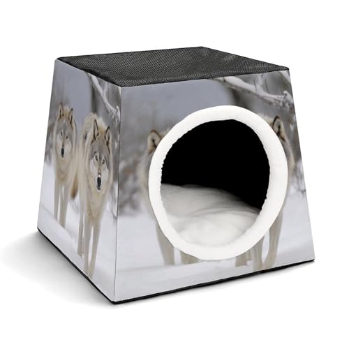 Capsule Pet Waterloo Zwei Wölfe, die im Schnee spazieren gehen, bedruckt, faltbar, Hundehaus, Katzenhöhle, weiches Kätzchenbett, warmes Kaninchennest, Chinchillas, Versteck für kleine und mittelgroße Capsule Pet Waterloo Zwei Wölfe, die im Schnee spazieren gehen, bedruckt, faltbar, Hundehaus, Katzenhöhle, weiches Kätzchenbett, warmes Kaninchennest, Chinchillas, Versteck für kleine und mittelgroße von JTKLQBN
