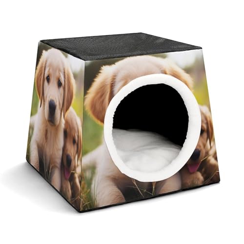 Capsule Pet Waterloo niedlicher Golden Retriever Welpe bedruckt faltbar Hundehaus Katzenhöhle weiches Kätzchenbett warmes Kaninchennest Chinchillas Versteck für kleine und mittelgroße Tiere im Capsule Pet Waterloo niedlicher Golden Retriever Welpe bedruckt faltbar Hundehaus Katzenhöhle weiches Kätzchenbett warmes Kaninchennest Chinchillas Versteck für kleine und mittelgroße Tiere im von JTKLQBN
