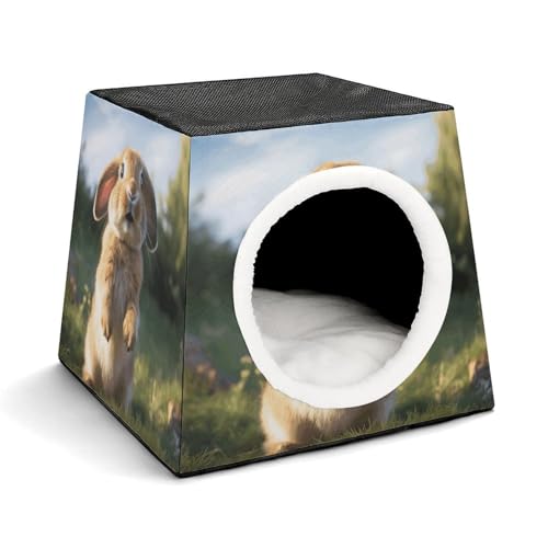 Capsule Pet Waterloo niedliches lustiges Kaninchen, bedruckt, faltbar, Hundehaus, Katzenhöhle, weiches Kätzchenbett, warmes Kaninchennest, Chinchillas, Versteck für kleine und mittelgroße Tiere Capsule Pet Waterloo niedliches lustiges Kaninchen, bedruckt, faltbar, Hundehaus, Katzenhöhle, weiches Kätzchenbett, warmes Kaninchennest, Chinchillas, Versteck für kleine und mittelgroße Tiere von JTKLQBN