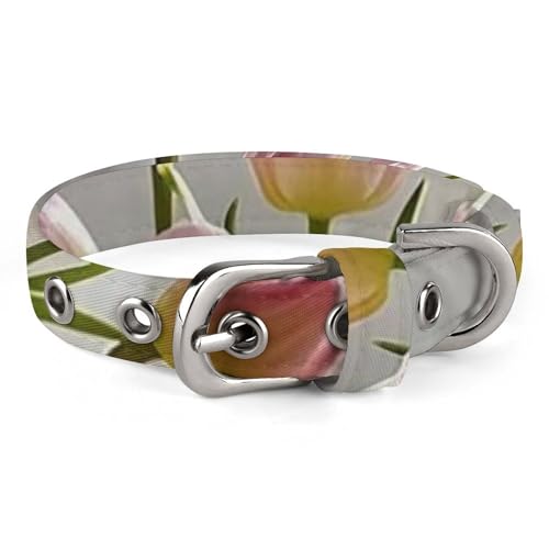 Hundehalsband, niedliches Welpenhalsband, Motiv: Die Kunst der Blumen, Hundehalsband für mittelgroße Hunde, kleine Hunde, weiches Katzenhalsband, Haustierhalsband mit verstellbarer Schnalle, 20 - 26 von JTKLQBN